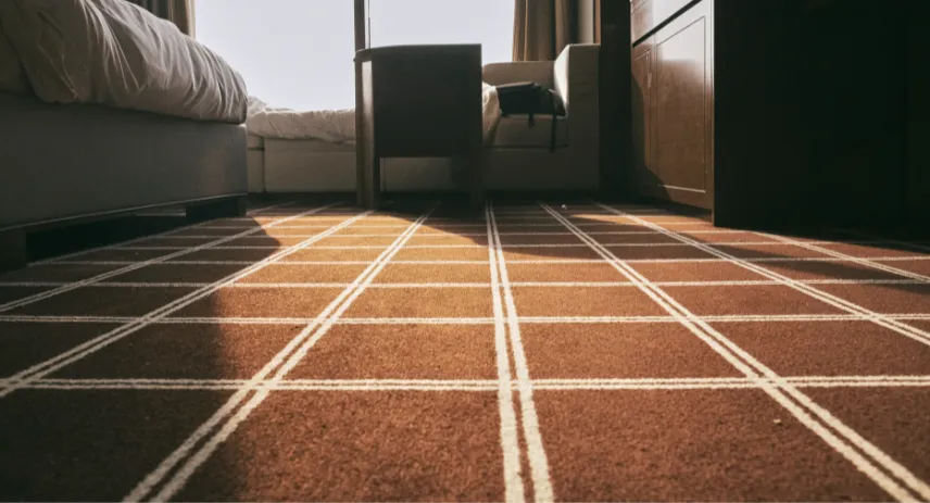 Safe and Effective Homemade Carpet Cleaning Solution Guide